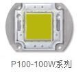 P100-100W系列