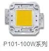 P101-100W系列
